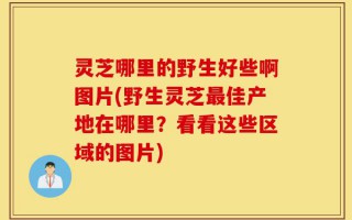 灵芝哪里的野生好些啊图片(野生灵芝最佳产地在哪里？看看这些区域的图片)