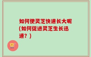 如何使灵芝快速长大呢(如何促进灵芝生长迅速？)