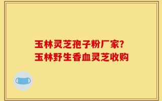 玉林灵芝孢子粉厂家？玉林野生香血灵芝收购