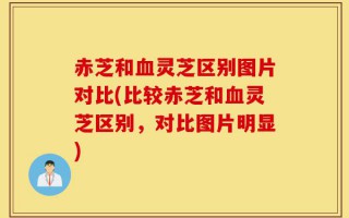 赤芝和血灵芝区别图片对比(比较赤芝和血灵芝区别，对比图片明显)