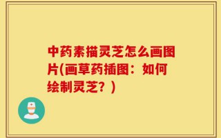 中药素描灵芝怎么画图片(画草药插图：如何绘制灵芝？)