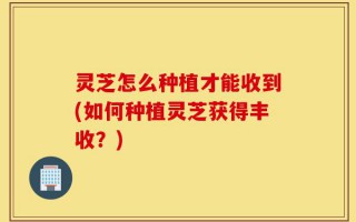 灵芝怎么种植才能收到(如何种植灵芝获得丰收？)