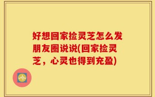 好想回家捡灵芝怎么发朋友圈说说(回家捡灵芝，心灵也得到充盈)