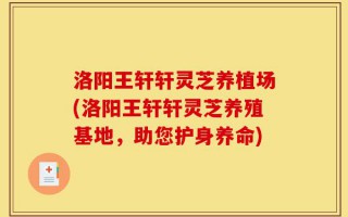 洛阳王轩轩灵芝养植场(洛阳王轩轩灵芝养殖基地，助您护身养命)