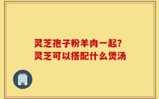 灵芝孢子粉羊肉一起？灵芝可以搭配什么煲汤