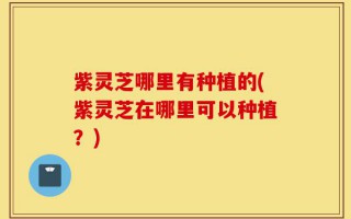 紫灵芝哪里有种植的(紫灵芝在哪里可以种植？)