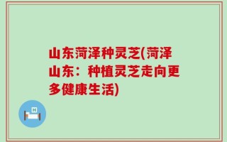 山东菏泽种灵芝(菏泽山东：种植灵芝走向更多健康生活)
