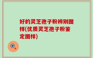 好的灵芝孢子粉辨别图样(优质灵芝孢子粉鉴定图样)