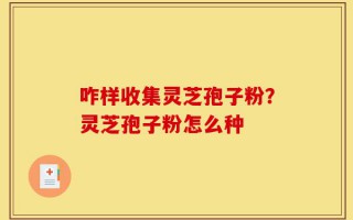 咋样收集灵芝孢子粉？灵芝孢子粉怎么种