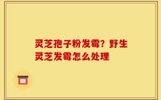 灵芝孢子粉发霉？野生灵芝发霉怎么处理