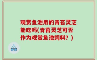 观赏鱼池用的青苔灵芝能吃吗(青苔灵芝可否作为观赏鱼池饲料？)