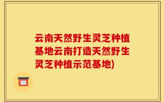 云南天然野生灵芝种植基地云南打造天然野生灵芝种植示范基地)