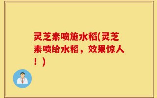 灵芝素喷施水稻(灵芝素喷给水稻，效果惊人！)