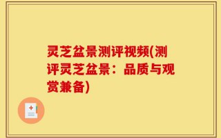 灵芝盆景测评视频(测评灵芝盆景：品质与观赏兼备)
