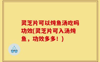 灵芝片可以炖鱼汤吃吗功效(灵芝片可入汤炖鱼，功效多多！)