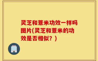 灵芝和薏米功效一样吗图片(灵芝和薏米的功效是否相似？)