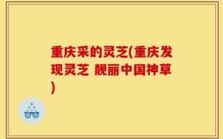 重庆采的灵芝(重庆发现灵芝 靓丽中国神草)