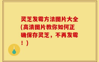 灵芝发霉方法图片大全(高清图片教你如何正确保存灵芝，不再发霉！)