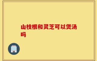 山枝根和灵芝可以煲汤吗