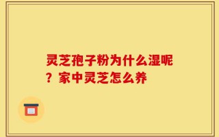 灵芝孢子粉为什么湿呢？家中灵芝怎么养