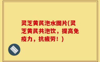 灵芝黄芪泡水图片(灵芝黄芪共泡饮，提高免疫力，抗疲劳！)