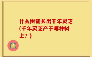 什么树能长出千年灵芝(千年灵芝产于哪种树上？)