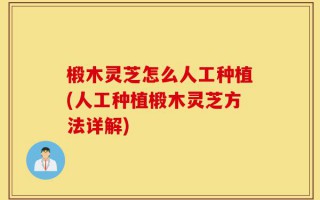 椴木灵芝怎么人工种植(人工种植椴木灵芝方法详解)