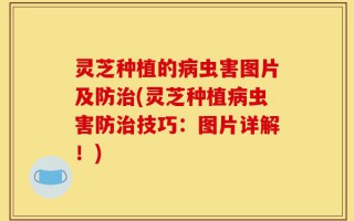 灵芝种植的病虫害图片及防治(灵芝种植病虫害防治技巧：图片详解！)
