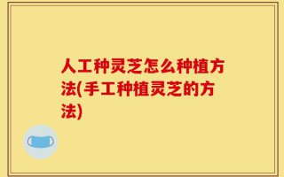 人工种灵芝怎么种植方法(手工种植灵芝的方法)