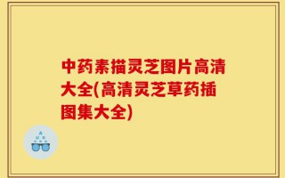 中药素描灵芝图片高清大全(高清灵芝草药插图集大全)