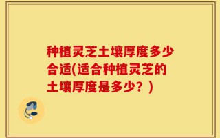 种植灵芝土壤厚度多少合适(适合种植灵芝的土壤厚度是多少？)