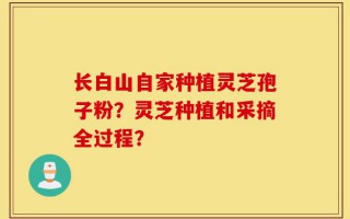 长白山自家种植灵芝孢子粉？灵芝种植和采摘全过程？