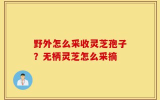 野外怎么采收灵芝孢子？无柄灵芝怎么采摘