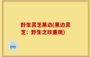 野生灵芝黑边(黑边灵芝：野生之珍重现)