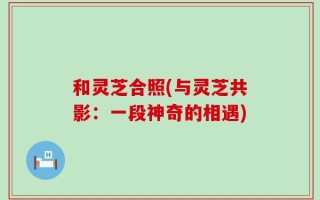 和灵芝合照(与灵芝共影：一段神奇的相遇)
