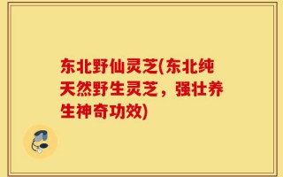 东北野仙灵芝(东北纯天然野生灵芝，强壮养生神奇功效)