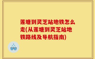 莲塘到灵芝站地铁怎么走(从莲塘到灵芝站地铁路线及导航指南)