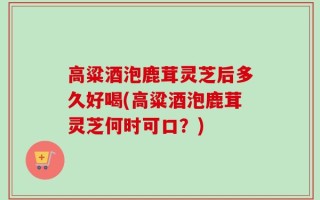 高粱酒泡鹿茸灵芝后多久好喝(高粱酒泡鹿茸灵芝何时可口？)