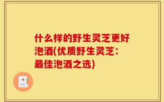 什么样的野生灵芝更好泡酒(优质野生灵芝：最佳泡酒之选)