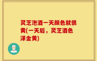 灵芝泡酒一天颜色就很黄(一天后，灵芝酒色泽金黄)