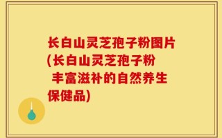 长白山灵芝孢子粉图片(长白山灵芝孢子粉  丰富滋补的自然养生保健品)