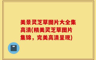 美景灵芝草图片大全集高清(精美灵芝草图片集锦，完美高清呈现)