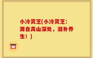 小冷灵芝(小冷灵芝：源自高山深处，滋补养生！)