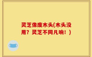 灵芝像废木头(木头没用？灵芝不同凡响！)
