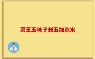 灵芝五味子刺五加泡水