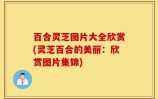 百合灵芝图片大全欣赏(灵芝百合的美丽：欣赏图片集锦)
