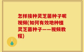 怎样接种灵芝菌种子呢视频(如何有效地种植灵芝菌种子——视频教程)