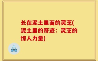 长在泥土里面的灵芝(泥土里的奇迹：灵芝的惊人力量)
