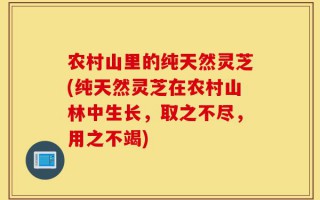农村山里的纯天然灵芝(纯天然灵芝在农村山林中生长，取之不尽，用之不竭)