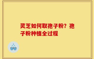 灵芝如何取孢子粉？孢子粉种植全过程